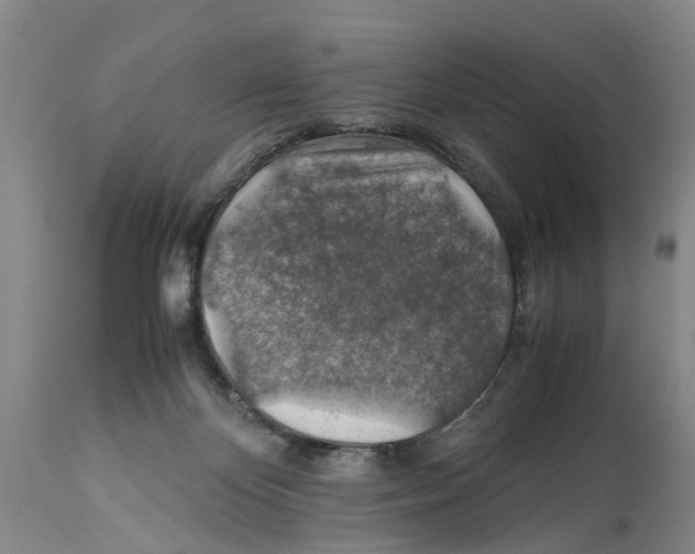 X0000114170124200911051536