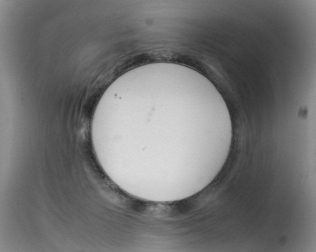 X0000114170125200911051536