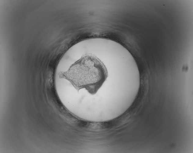 X0000114170127200911051536