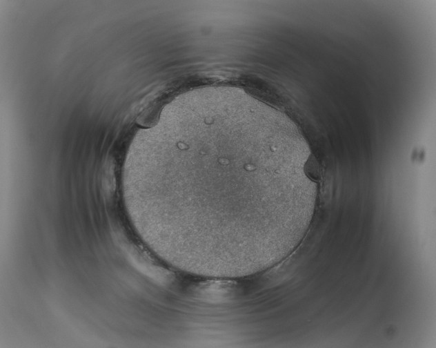 X0000114170128200911051536