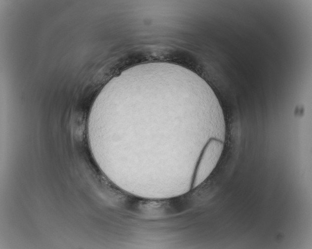 X0000114170129200911051536