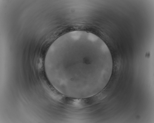 X0000114170130200911051536