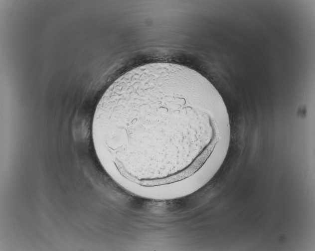 X0000114170131200911051536