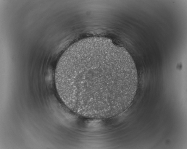 X0000114170132200911051536