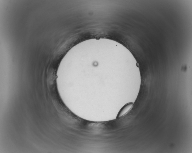 X0000114170133200911051536