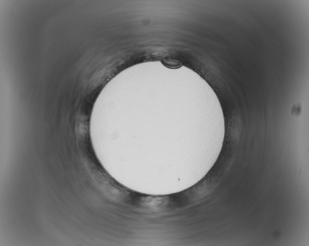 X0000114170135200911051536