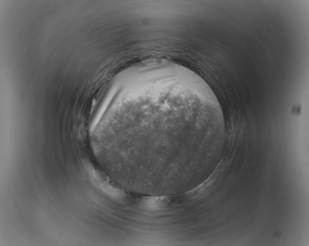 X0000114170136200911051536