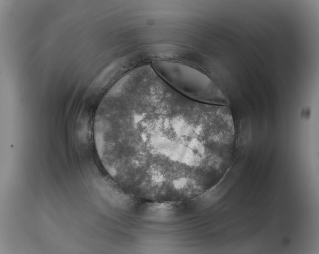 X0000114170140200911051536