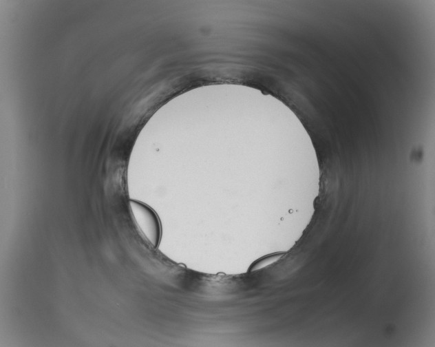 X0000114170141200911051536