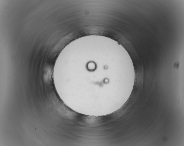 X0000114170142200911051536