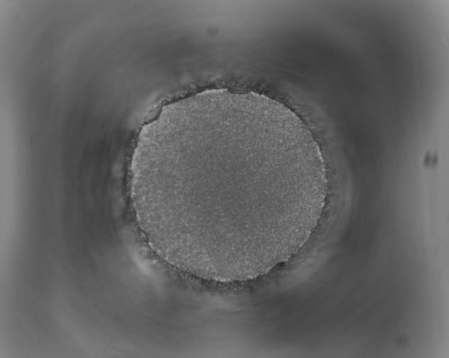 X0000114170144200911051536