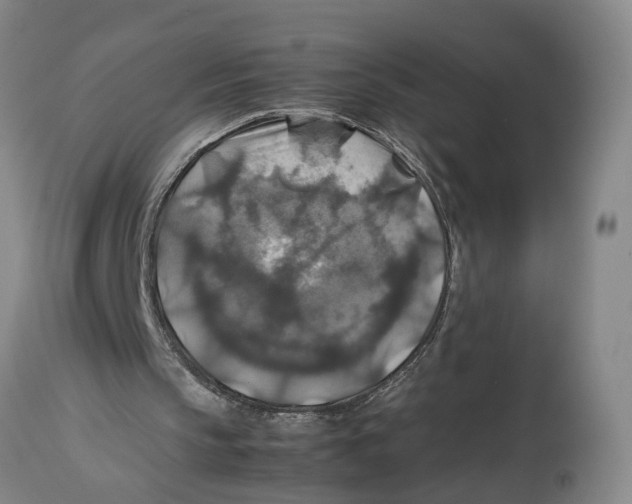 X0000114170145200911051535