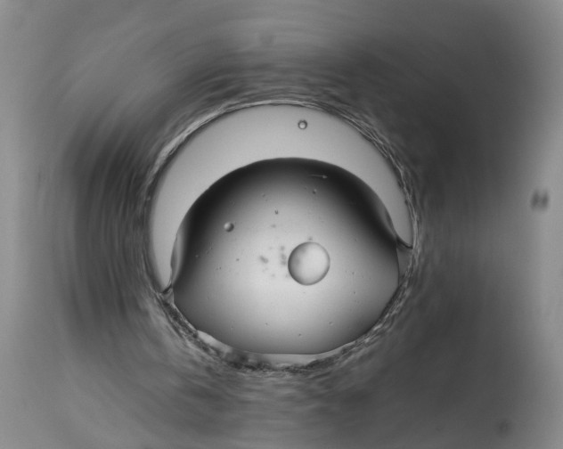 X0000114170146200911051535