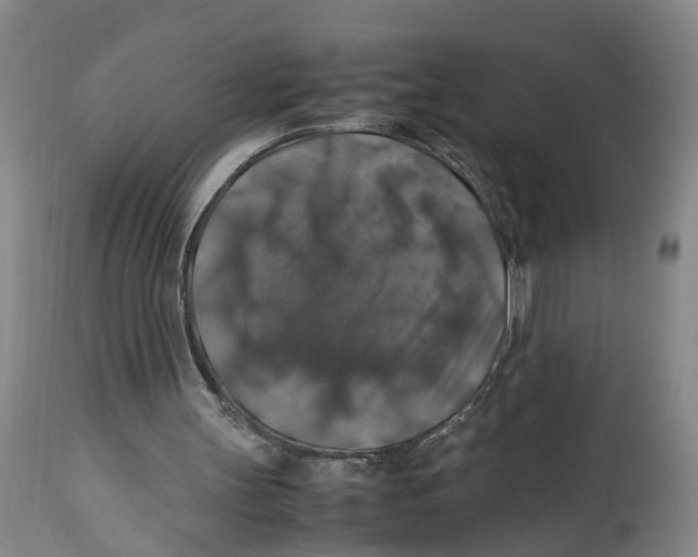 X0000114170147200911051535