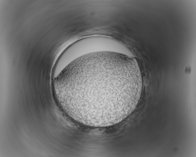 X0000114170148200911051535