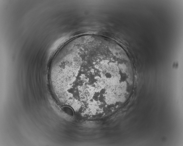 X0000114170149200911051535