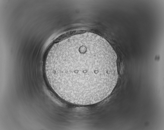 X0000114170150200911051535