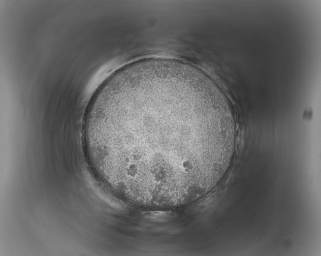 X0000114170151200911051535