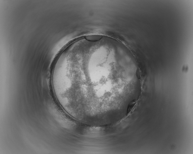 X0000114170152200911051535