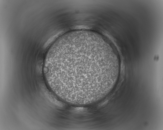 X0000114170153200911051535