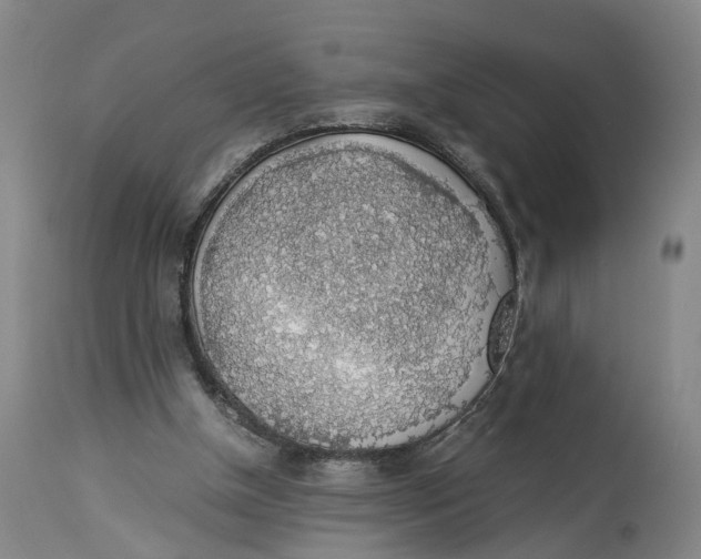 X0000114170154200911051535