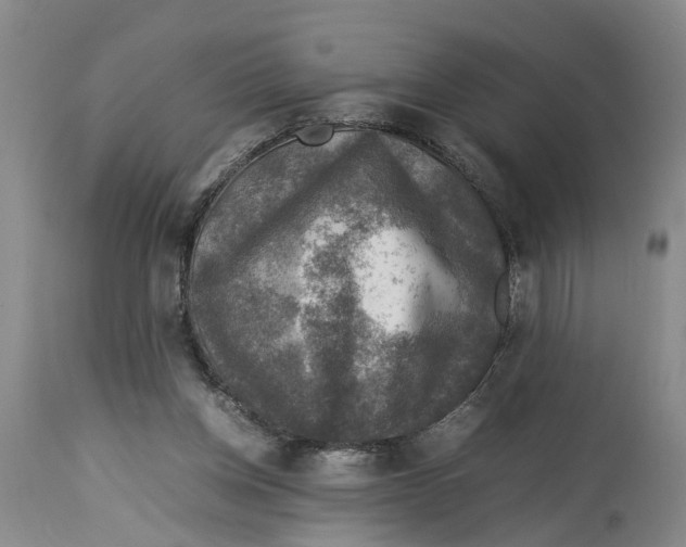 X0000114170158200911051535