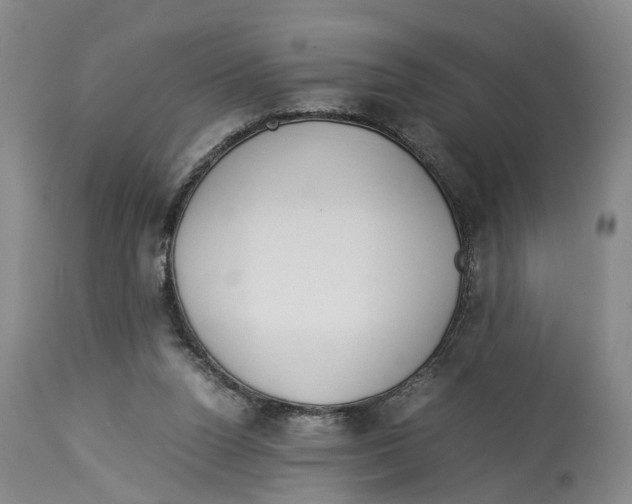 X0000114170160200911051535