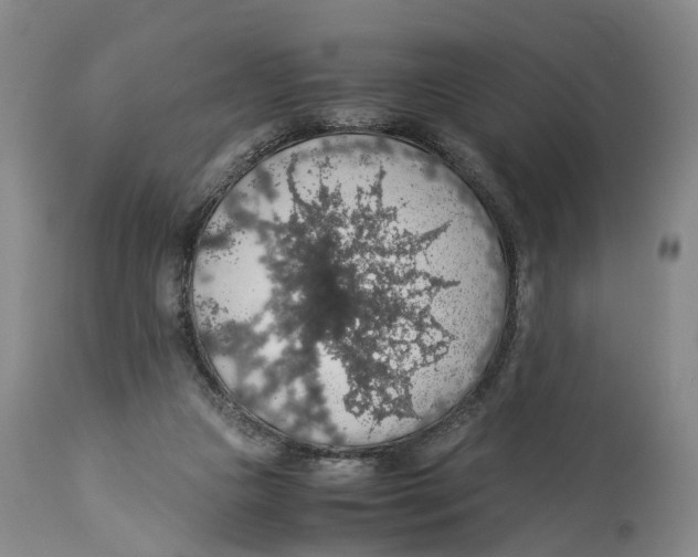 X0000114170161200911051535