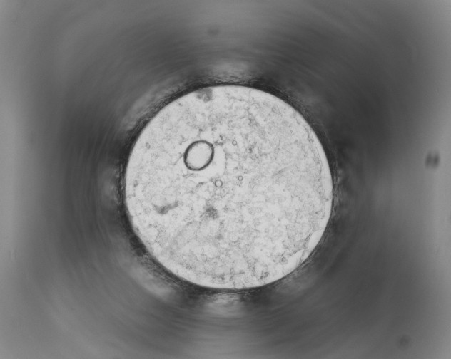 X0000114170162200911051535