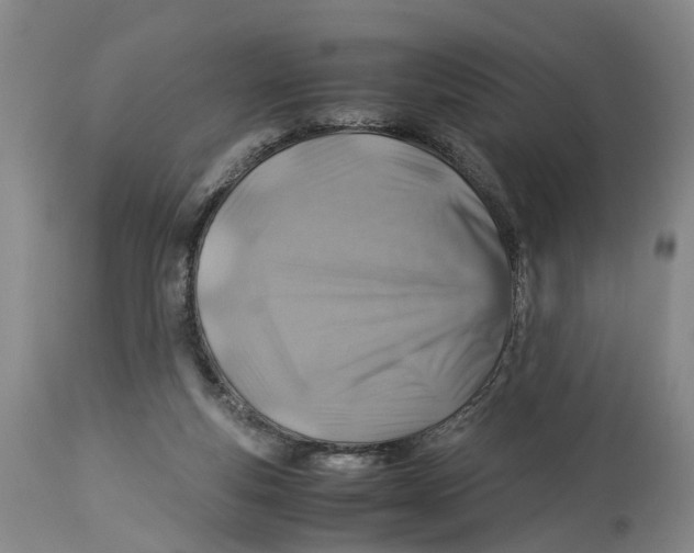 X0000114170163200911051535