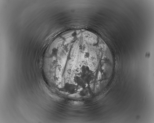 X0000114170165200911051535