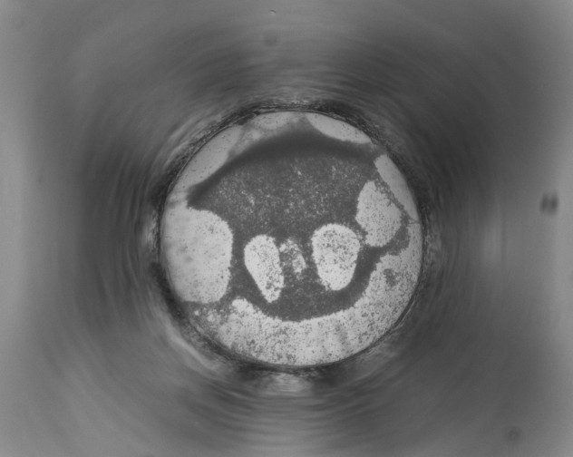 X0000114170166200911051535