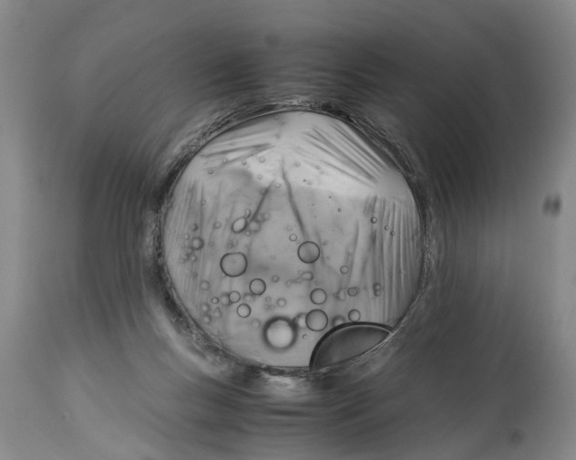 X0000114170167200911051535