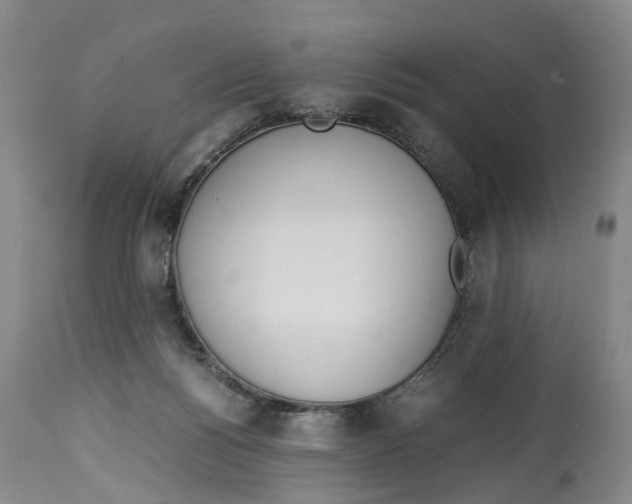 X0000114170168200911051536