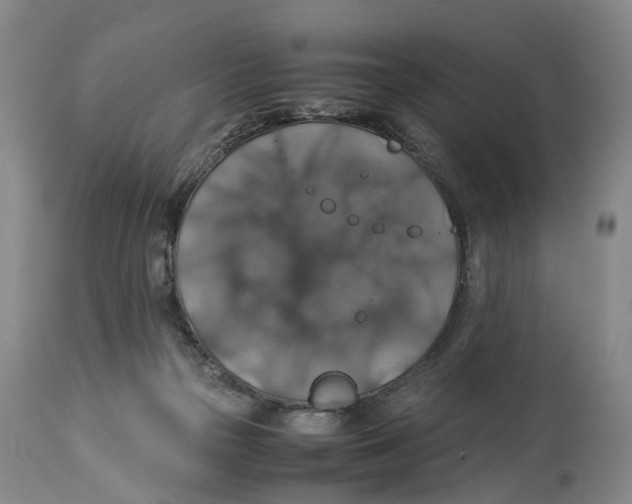 X0000114170169200911051536