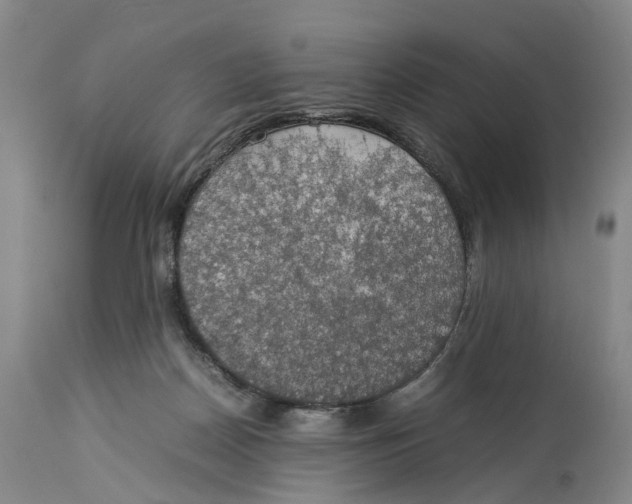 X0000114170170200911051536