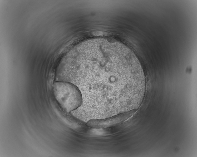 X0000114170171200911051536