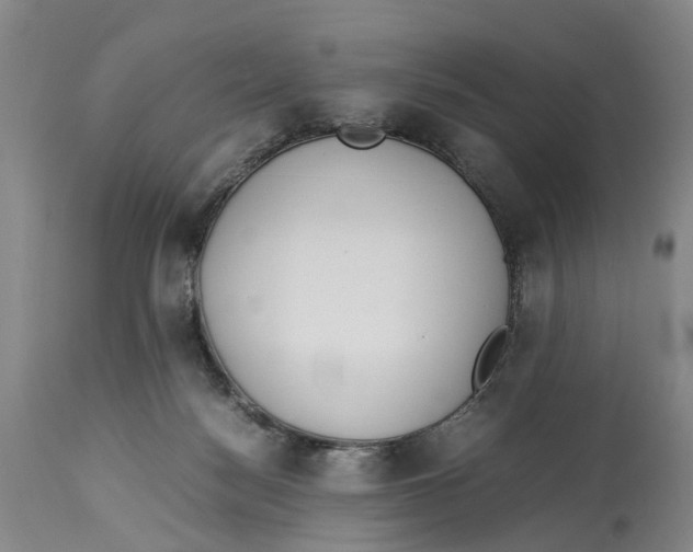 X0000114170172200911051536