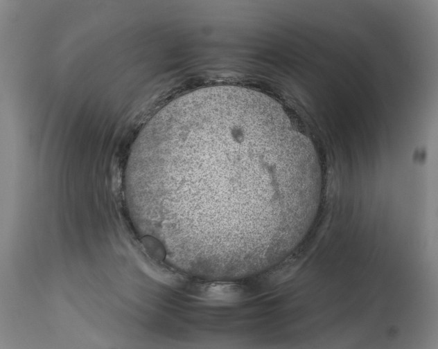 X0000114170173200911051536