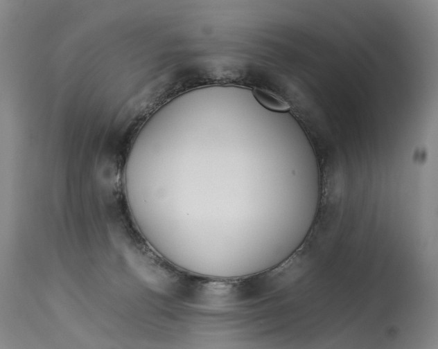 X0000114170176200911051536