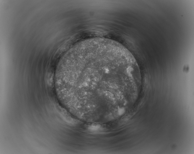 X0000114170177200911051536