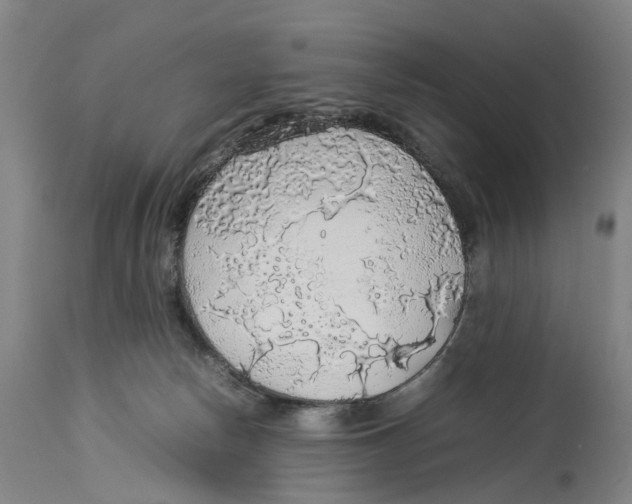 X0000114170178200911051536