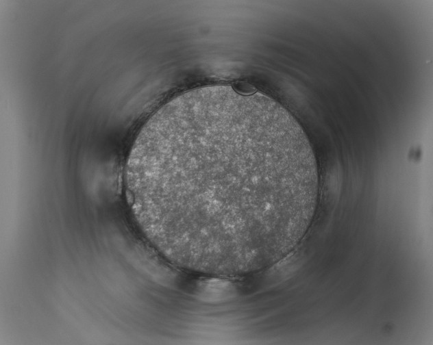 X0000114170180200911051536