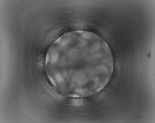 X0000114170181200911051536