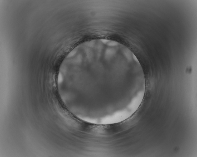 X0000114170182200911051536