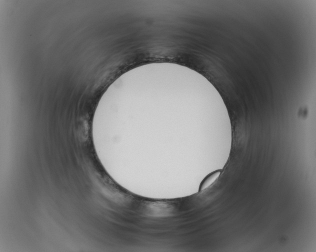 X0000114170183200911051536