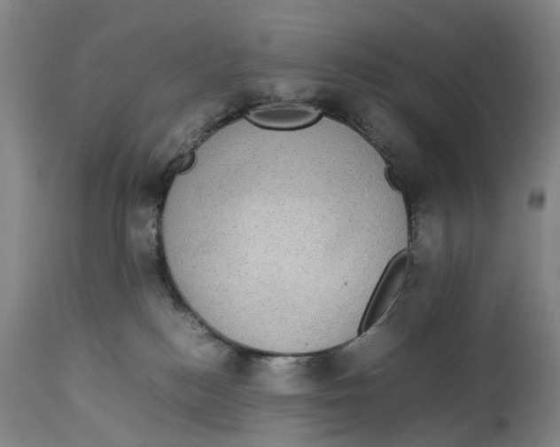 X0000114170184200911051536