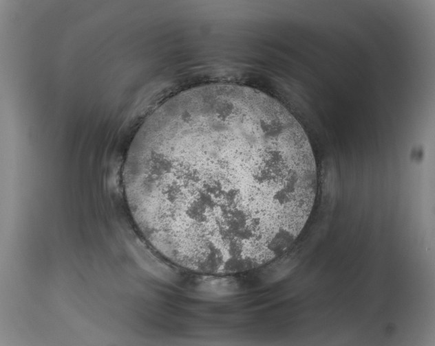 X0000114170185200911051536