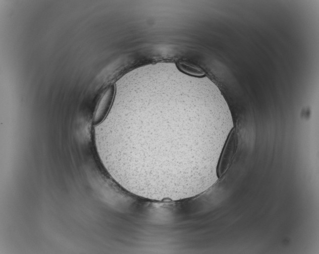 X0000114170188200911051536