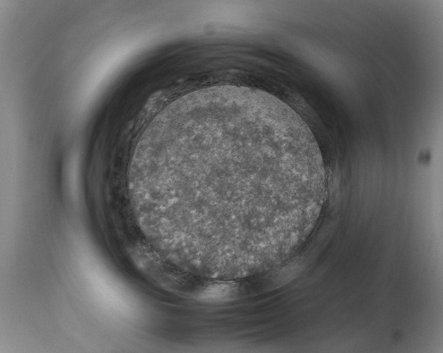 X0000114170189200911051536